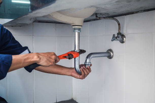 Best Plumbing Services Near Me  in Elsa, TX