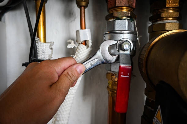 Best Plumbing Inspection Services  in Elsa, TX